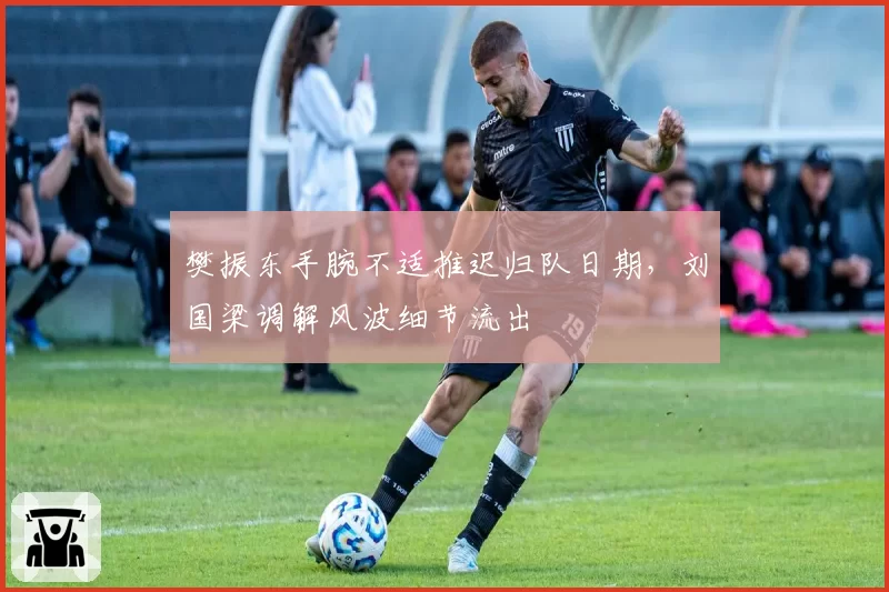 樊振东手腕不适推迟归队日期，刘国梁调解风波细节流出